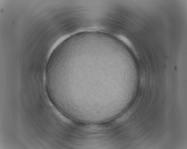 X0000061751420200512231514