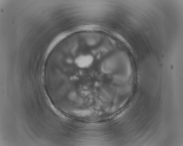 X0000061751421200512231514