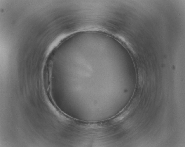 X0000061751422200512231514