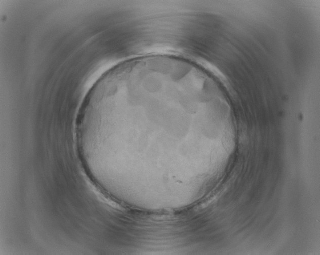 X0000061751423200512231514