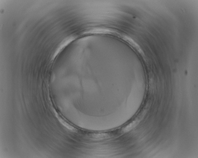 X0000061751425200512231514