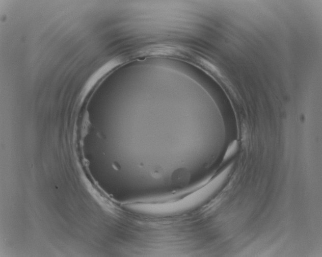 X0000061751426200512231514