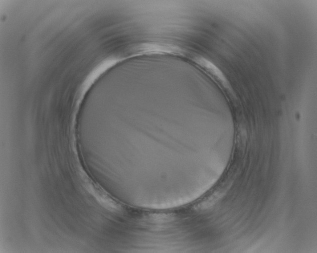 X0000061751427200512231514