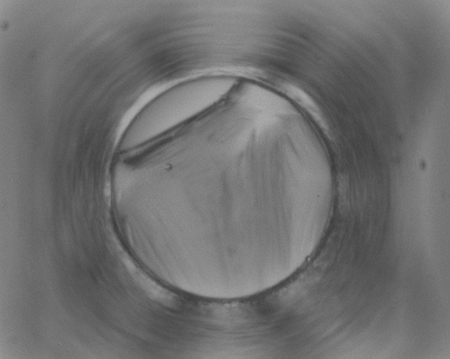 X0000061751428200512231514