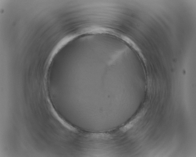 X0000061751429200512231514