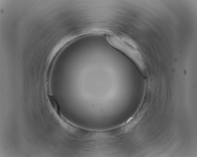 X0000061751430200512231514