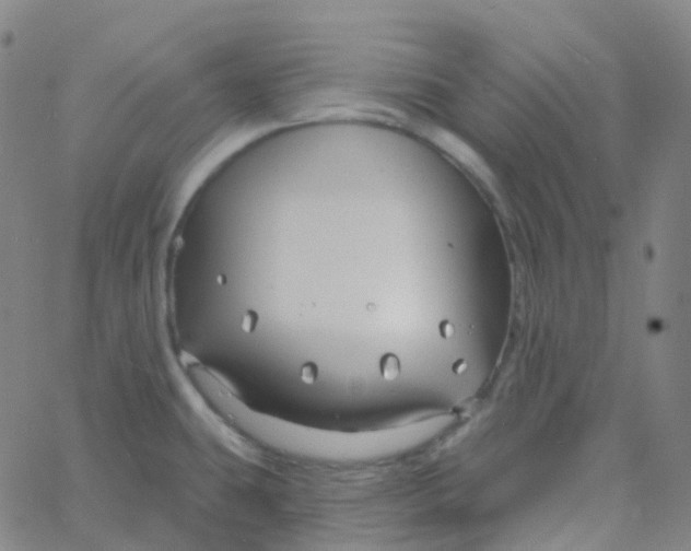 X0000061751431200512231514