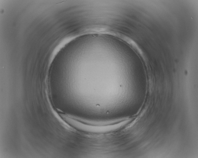 X0000061751432200512231514