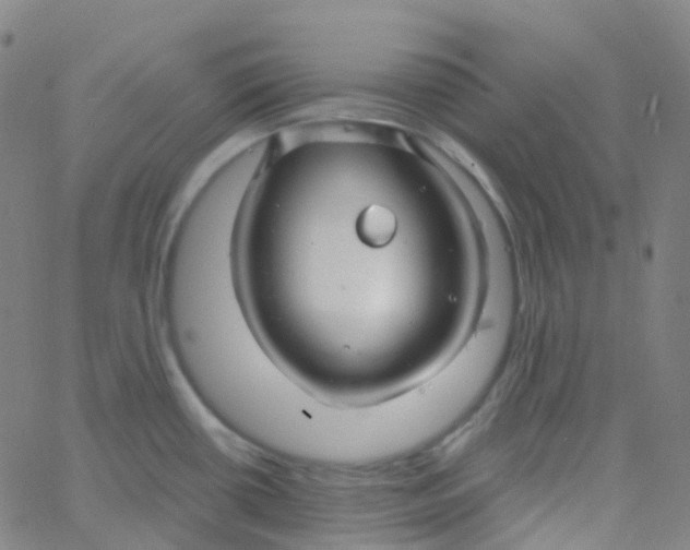 X0000061751434200512231514