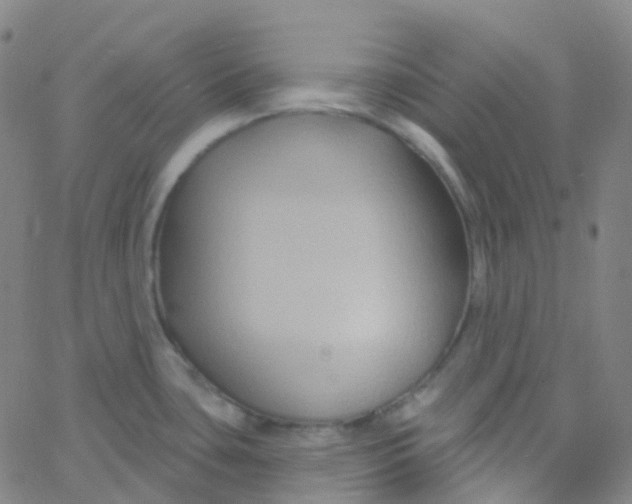 X0000061751435200512231514