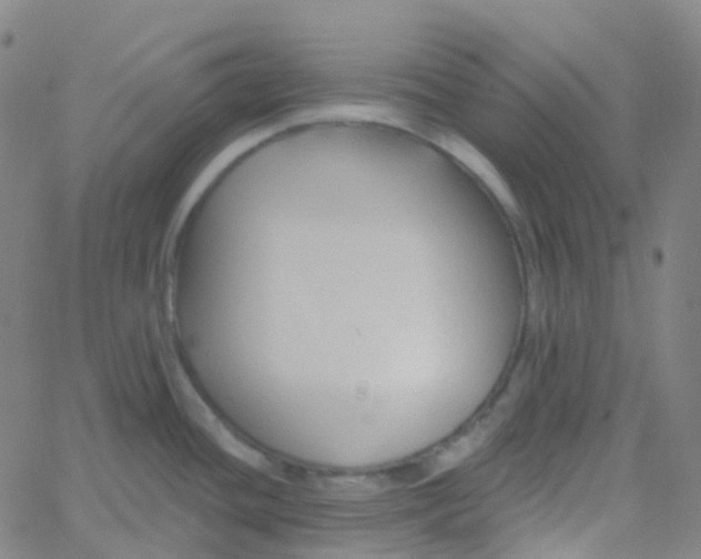 X0000061751436200512231514