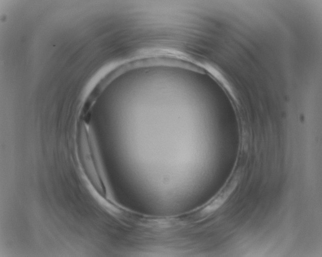 X0000061751438200512231514