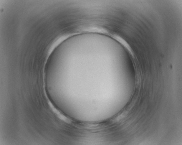 X0000061751439200512231514