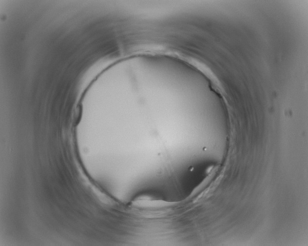 X0000061751440200512231514