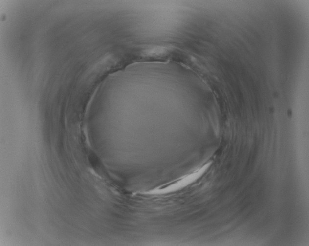 X0000061751441200512231513