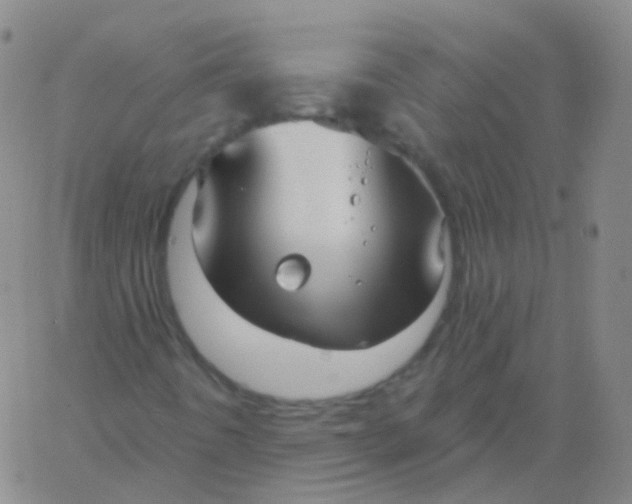 X0000061751442200512231513