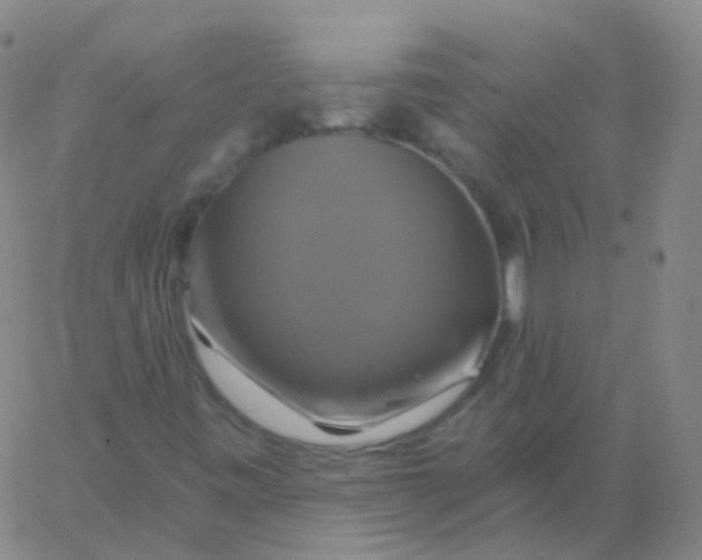 X0000061751443200512231513