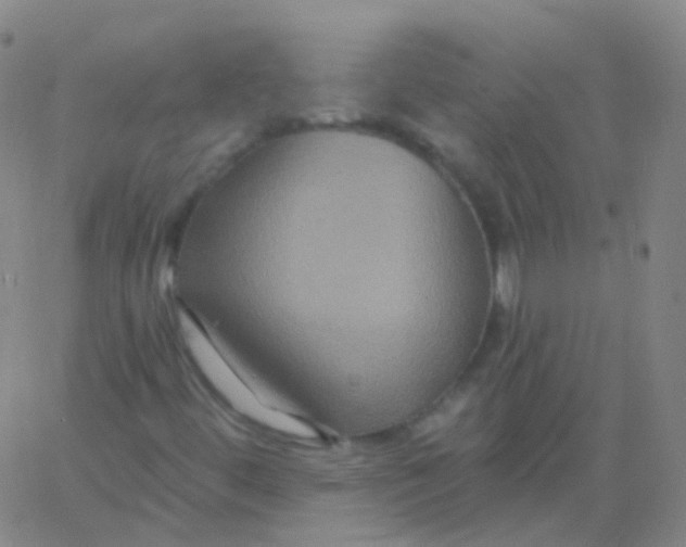 X0000061751444200512231513