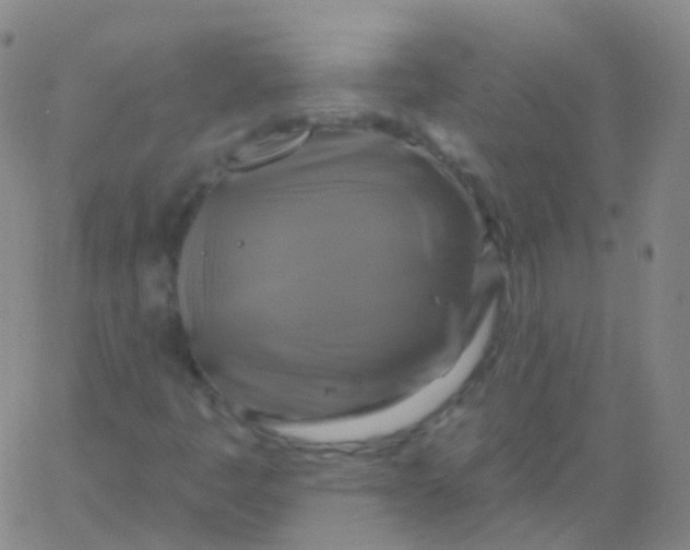 X0000061751445200512231513