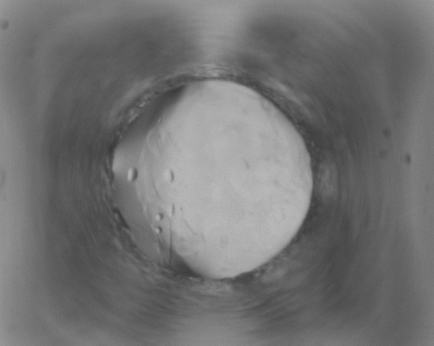 X0000061751446200512231513