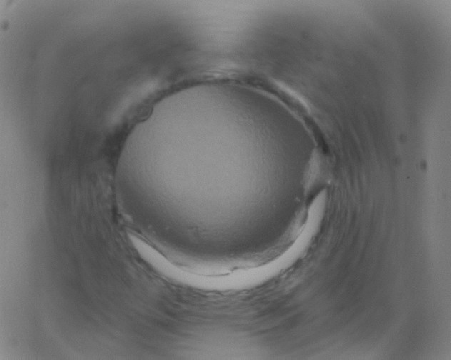 X0000061751447200512231513