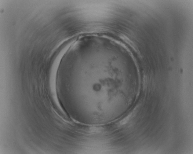 X0000061751449200512231513