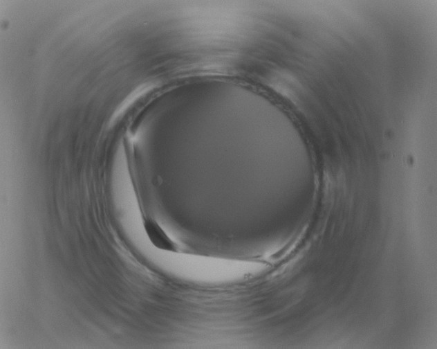 X0000061751450200512231513