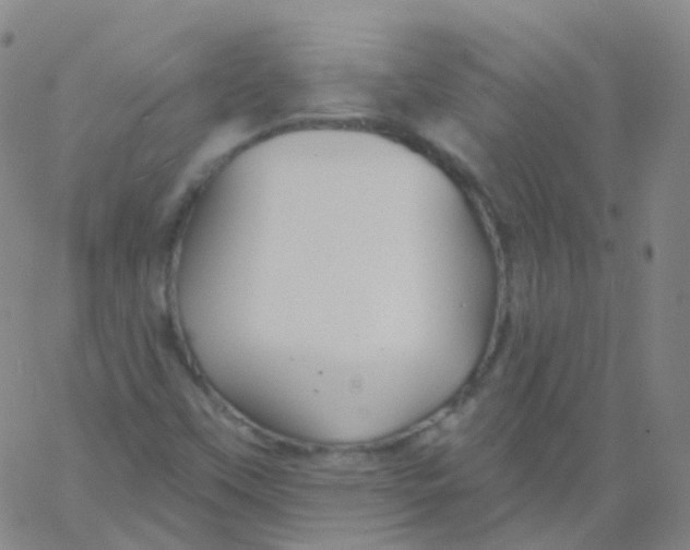 X0000061751451200512231513