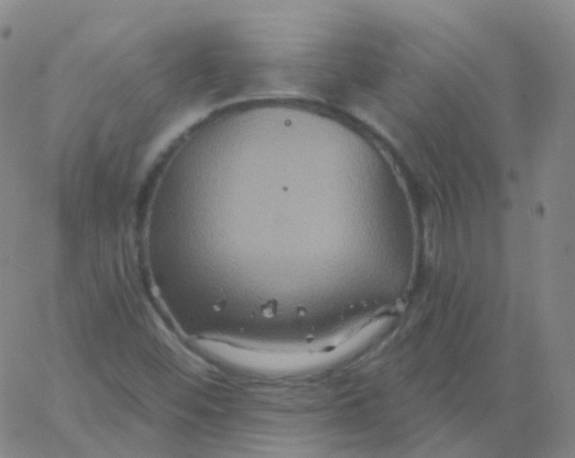 X0000061751452200512231513