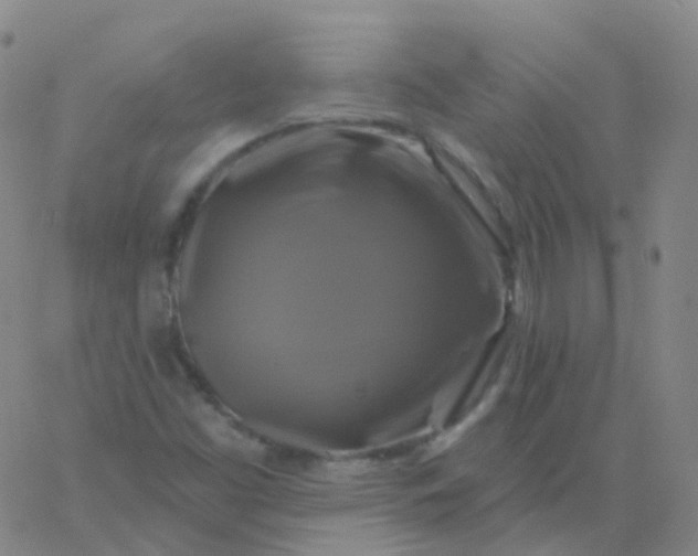 X0000061751453200512231513