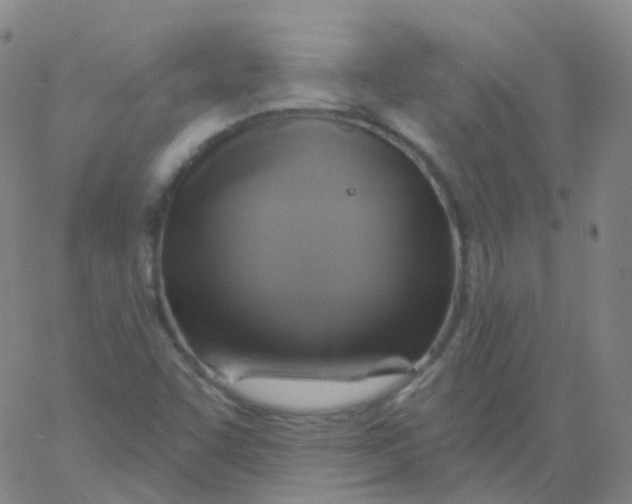 X0000061751455200512231513