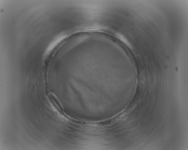 X0000061751456200512231513