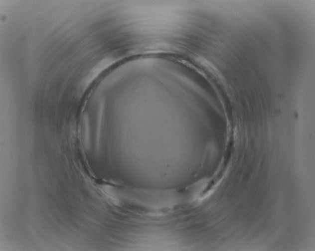 X0000061751457200512231513