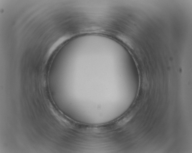 X0000061751458200512231513