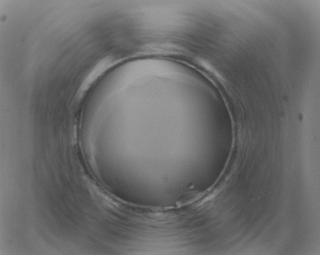 X0000061751459200512231513