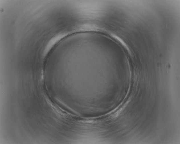 X0000061751461200512231513