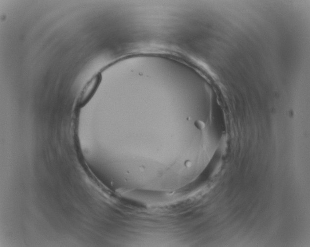 X0000061751463200512231513