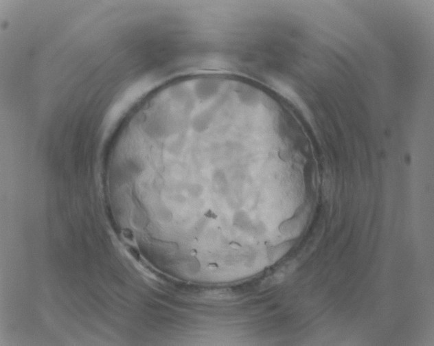 X0000061751464200512231513