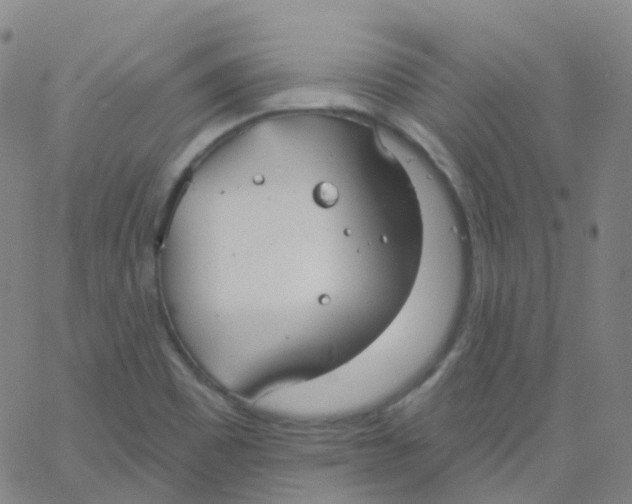 X0000061751465200512231513