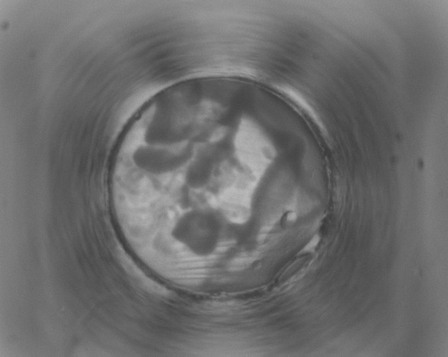 X0000061751468200512231513