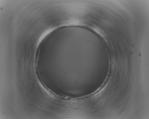 X0000061751469200512231513