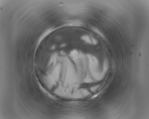 X0000061751471200512231513