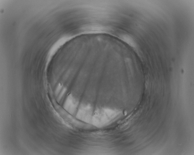 X0000061751472200512231513