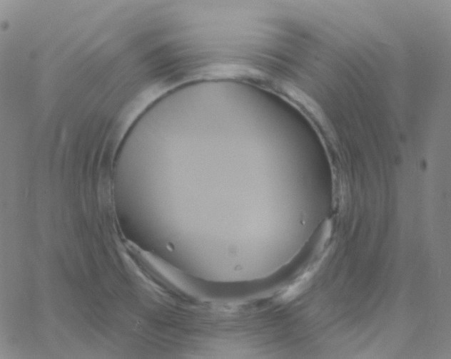 X0000061751473200512231513