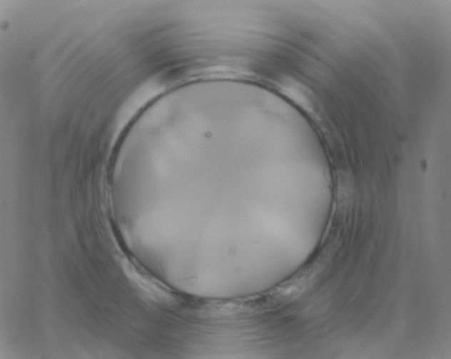 X0000061751474200512231513