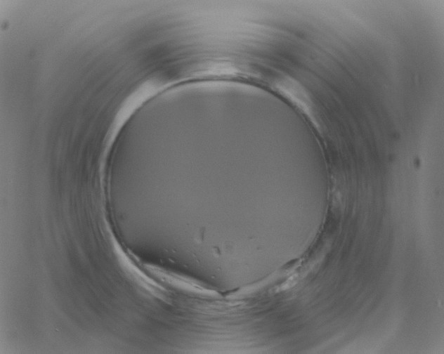 X0000061751475200512231513