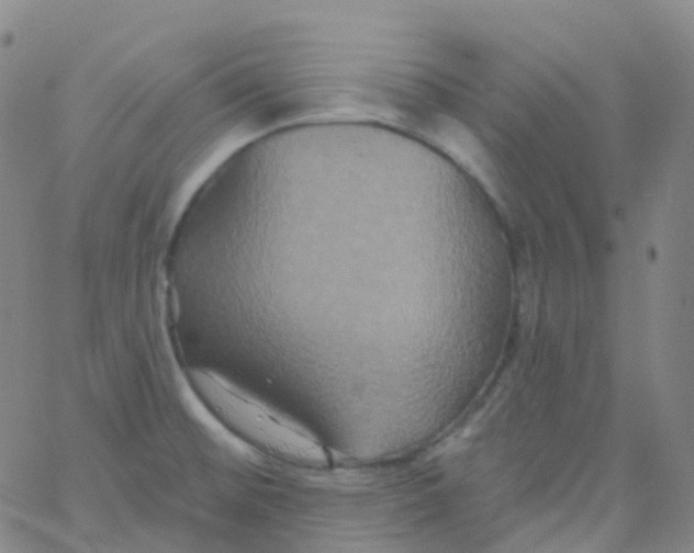 X0000061751476200512231513