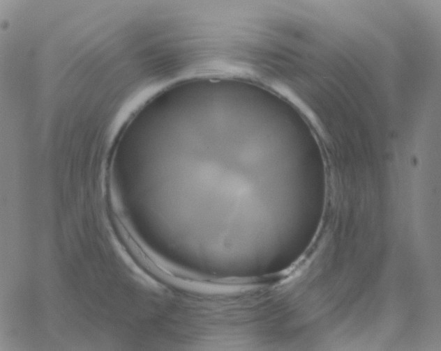 X0000061751477200512231513