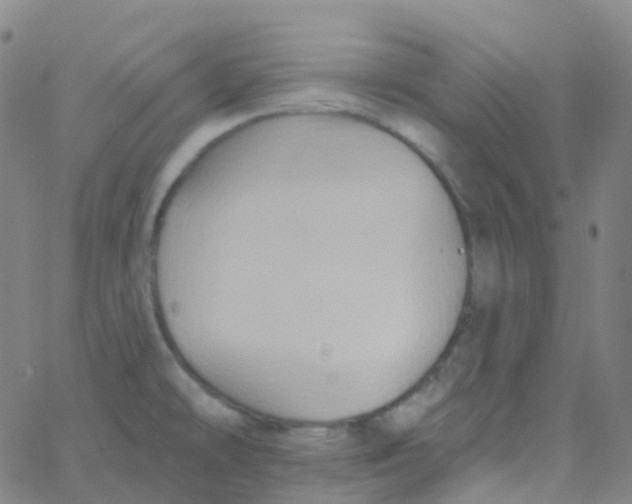 X0000061751478200512231513