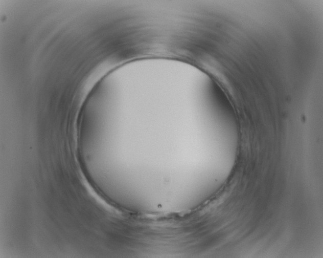 X0000061751479200512231513